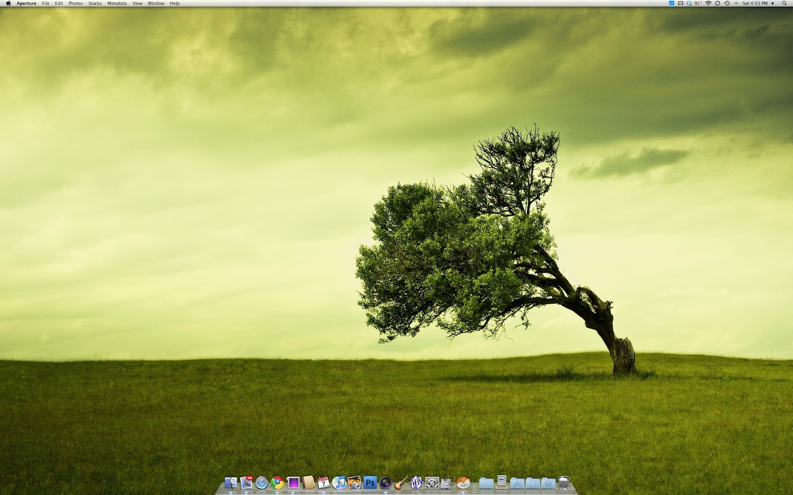 Screen shot 2010-08-07 at 4.33.25 PM.jpg