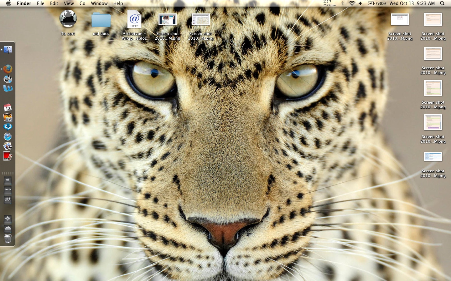 Screen shot 2010-10-13 at 9.23.20 AM.jpg