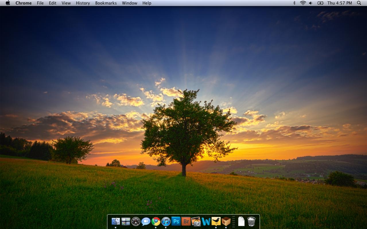 Screen shot 2010-12-09 at 4.57.35 PM.jpg