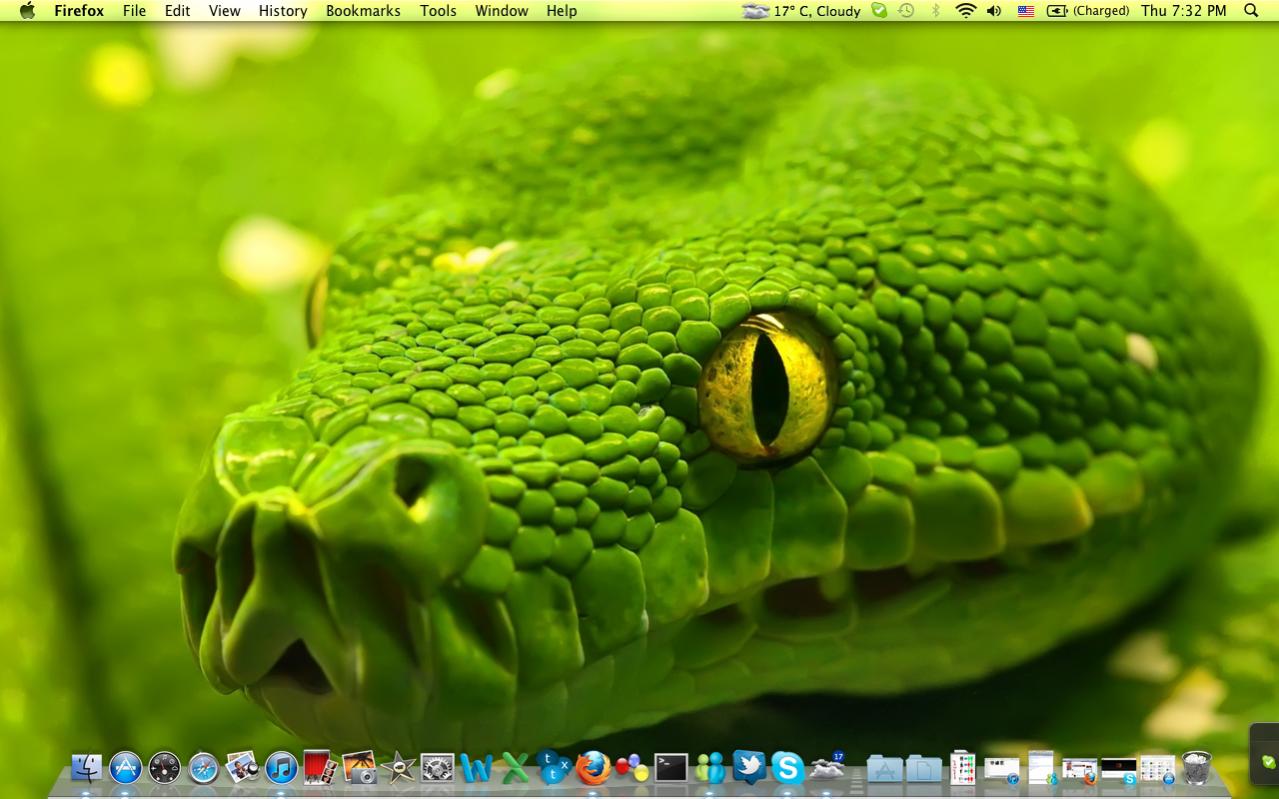 Screen shot 2011-05-05 at 7.32.15 PM.jpg