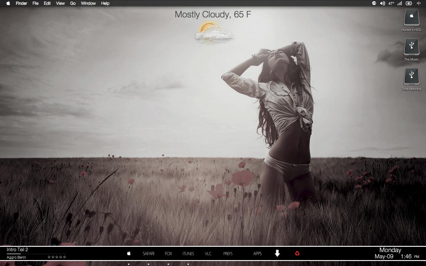 Screen shot 2011-05-09 at 1.46.36 PM.jpg