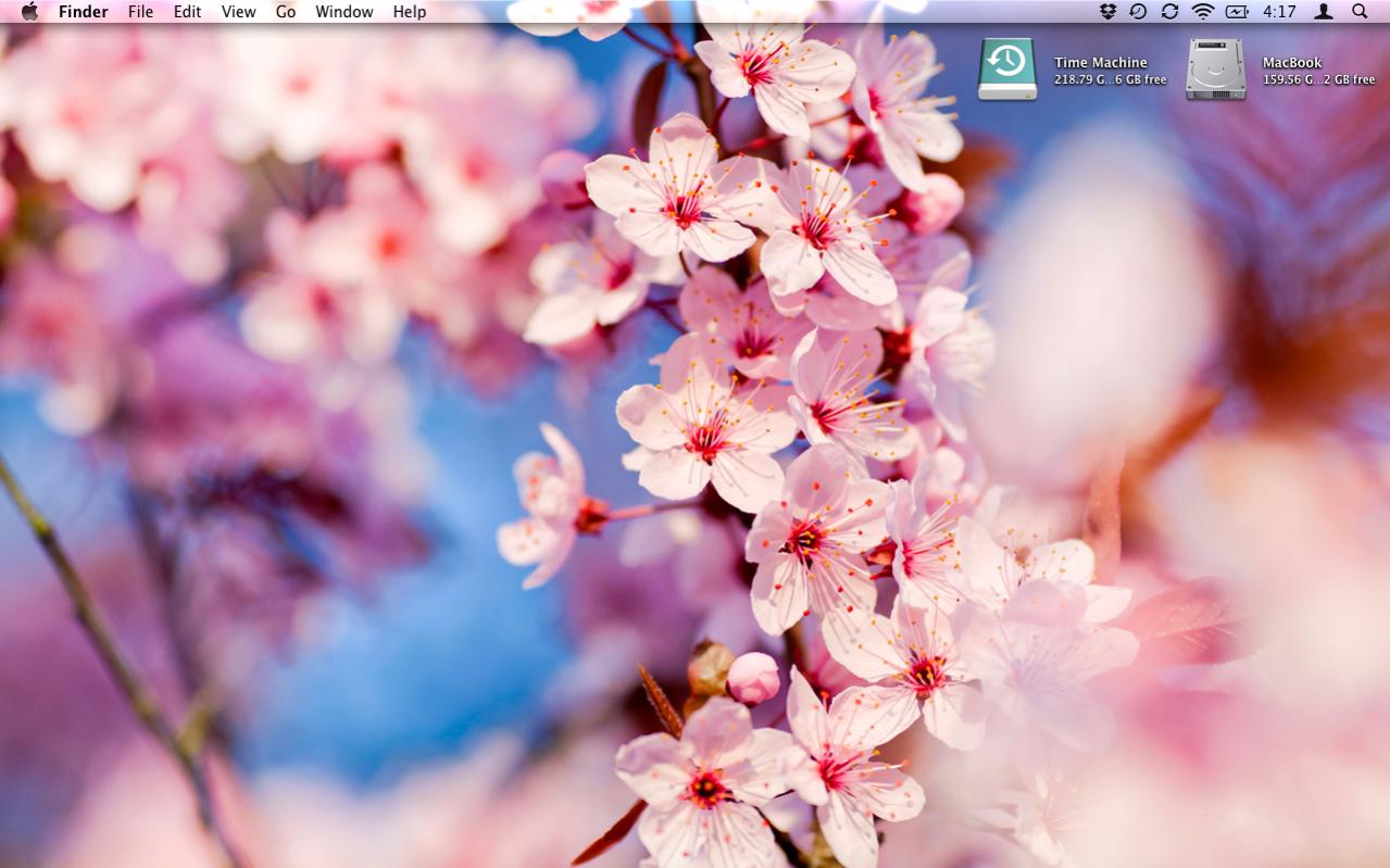 Screen shot 2011-05-16 at 4.17.04 PM.jpg