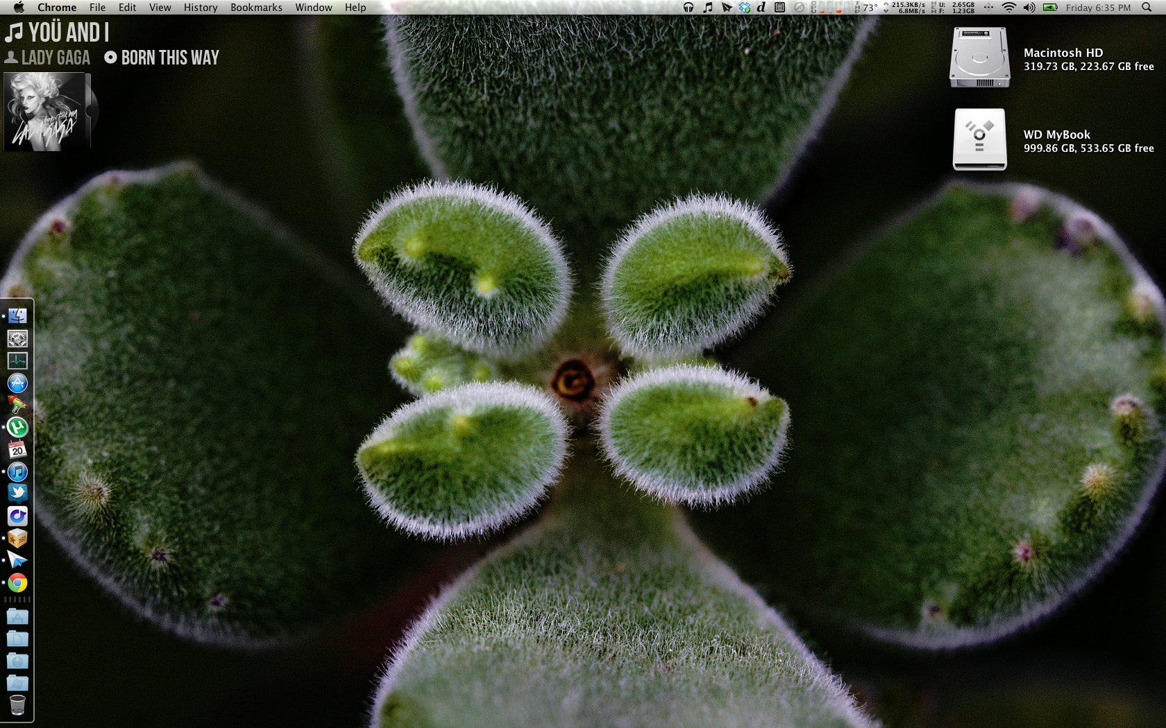 Screen shot 2011-05-20 at 6.35.18 PM.jpg