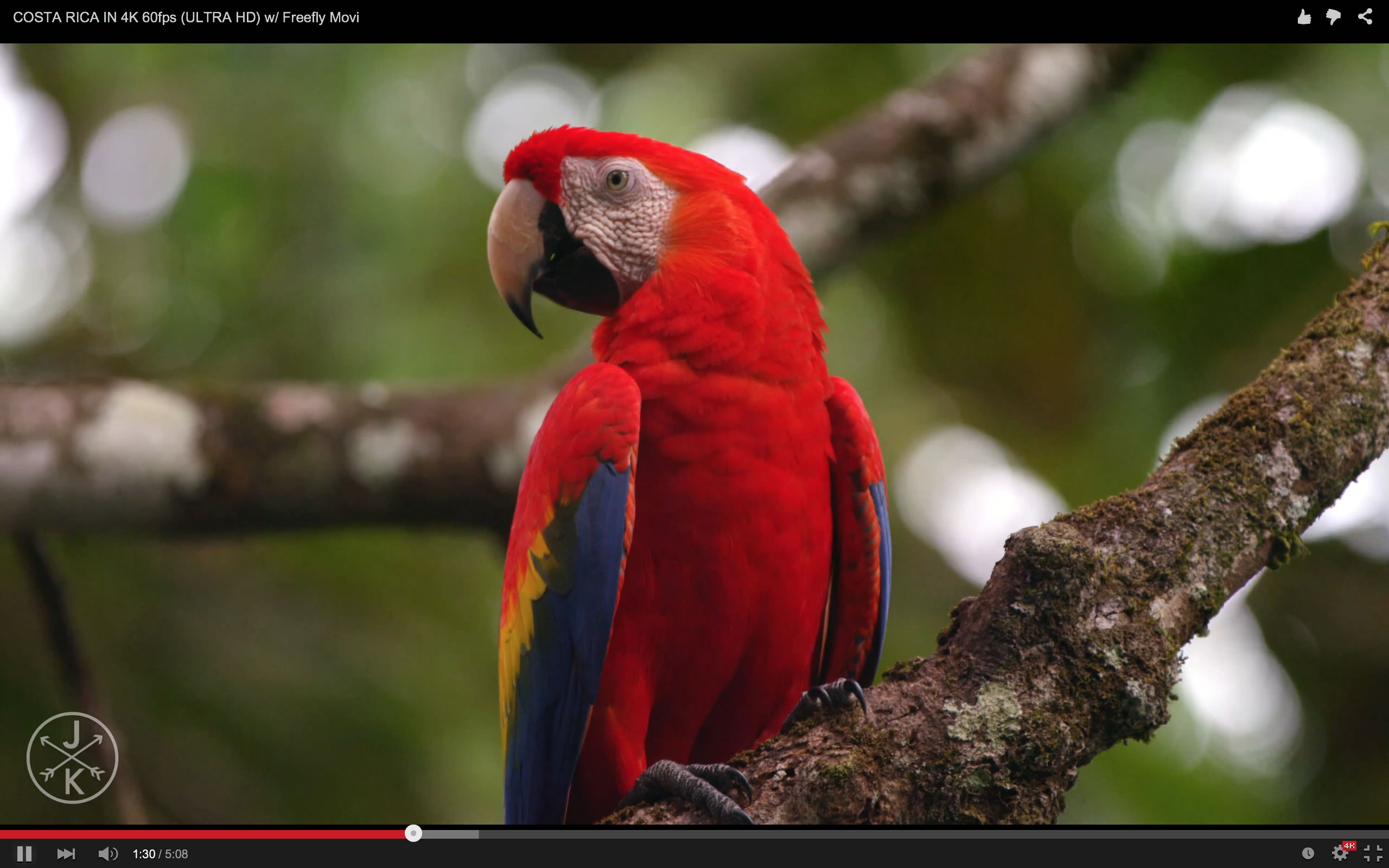 Screen Shot 2015-04-11 at 11.22.18 AM.jpg