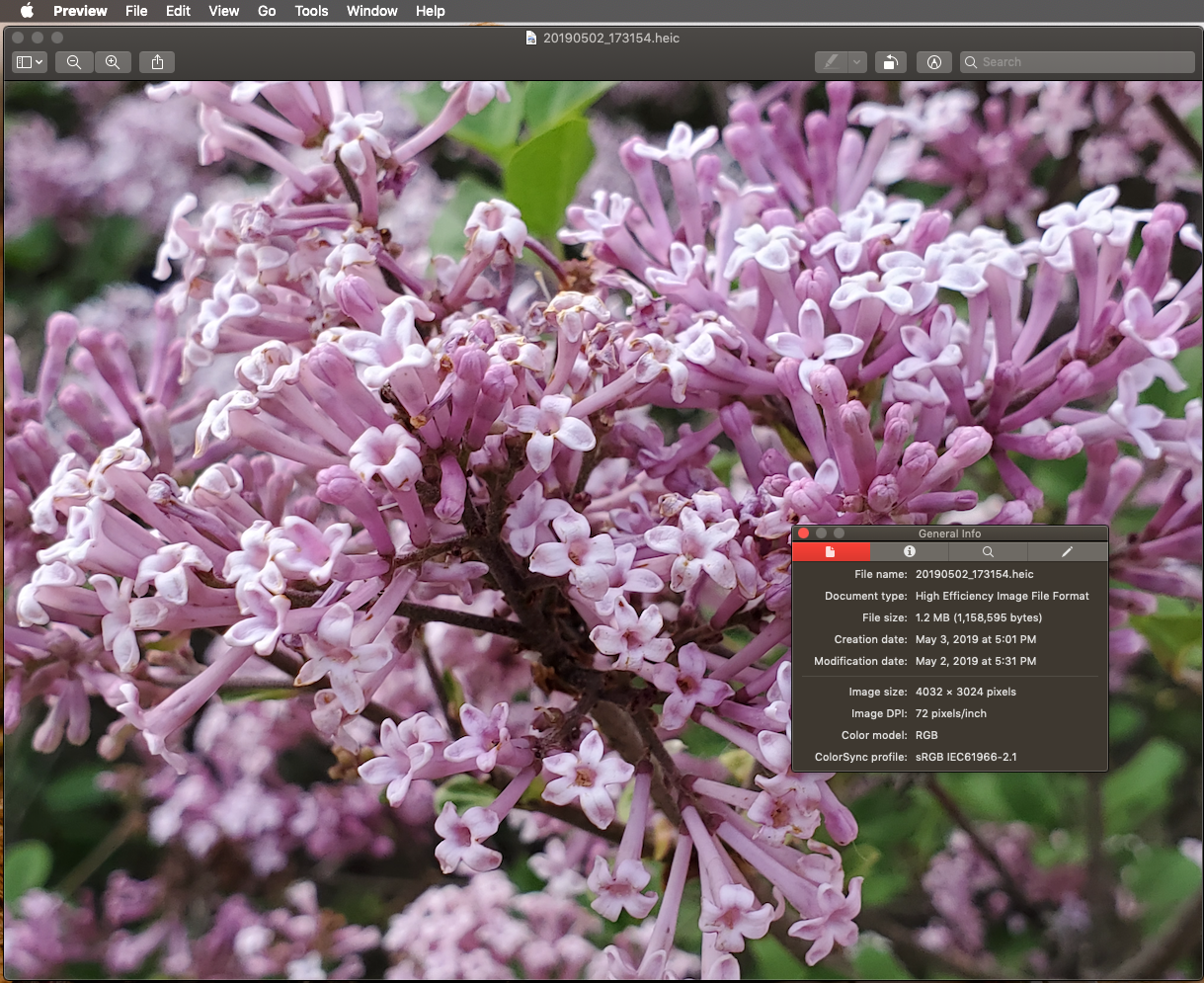 Screen Shot 2019-05-05 at 11.31.54 AM.png