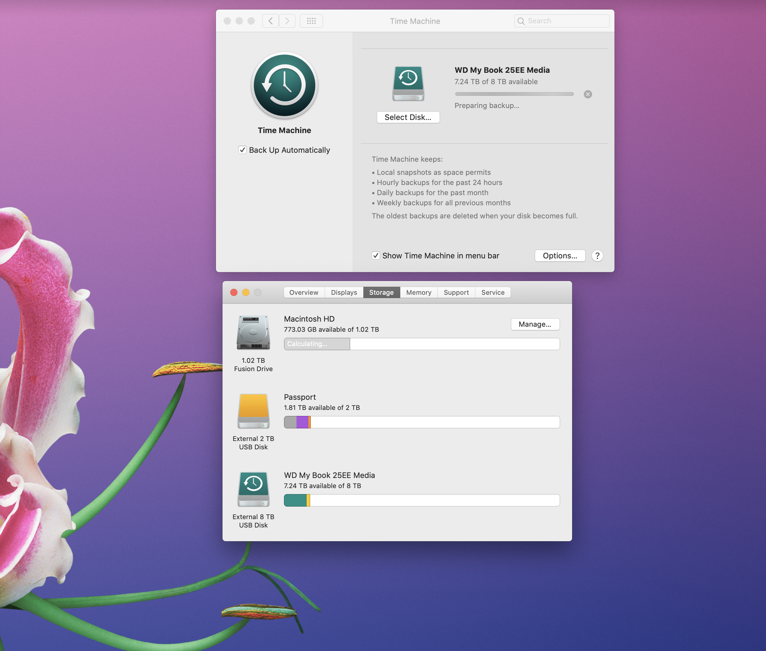 Screen Shot 2019-06-15 at 12.33.54 PM.png