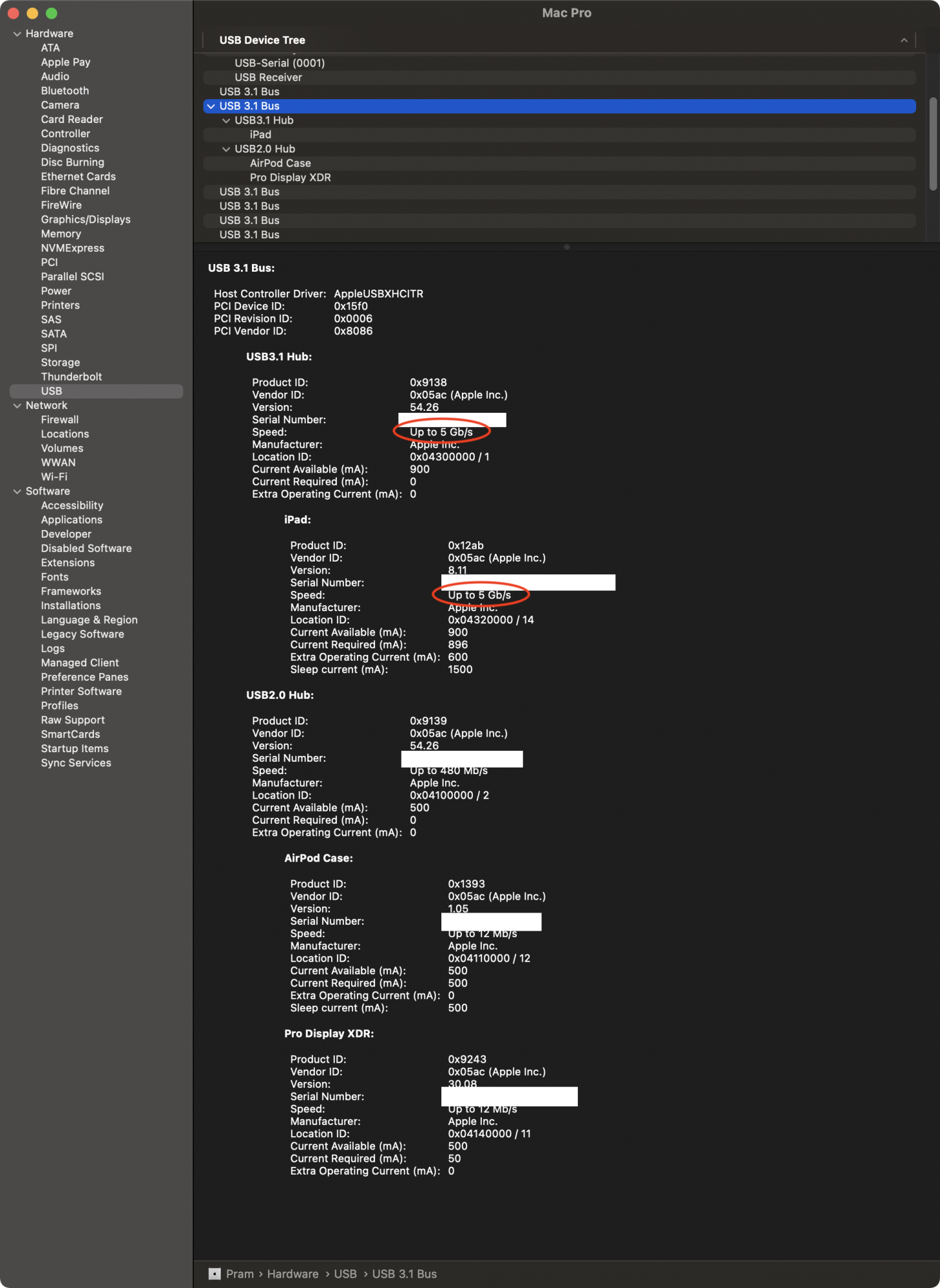 Screen Shot 2020-11-20 at 4.49.53 PM.png