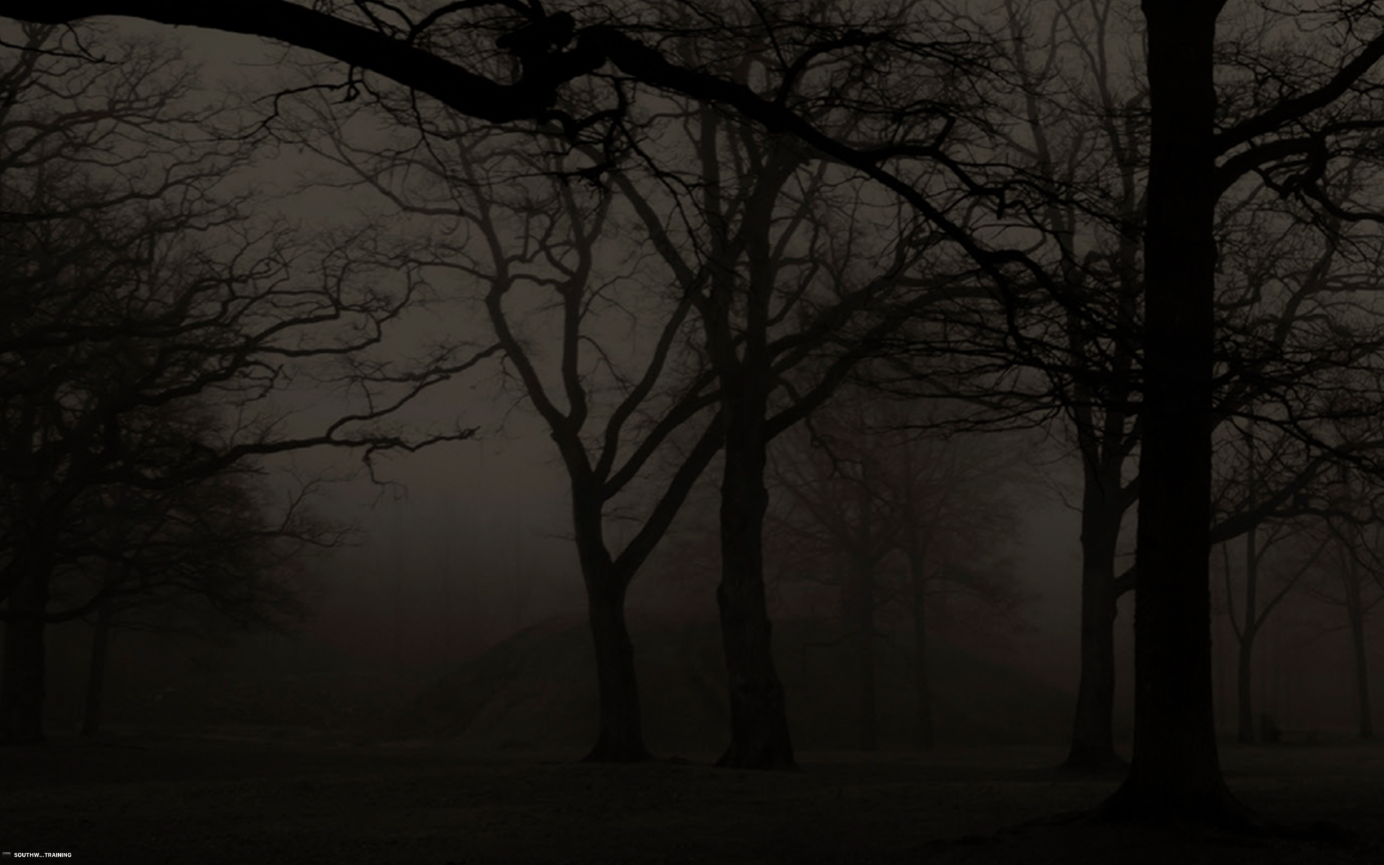 Screen Shot 2022-01-30 at 12.21.00.png