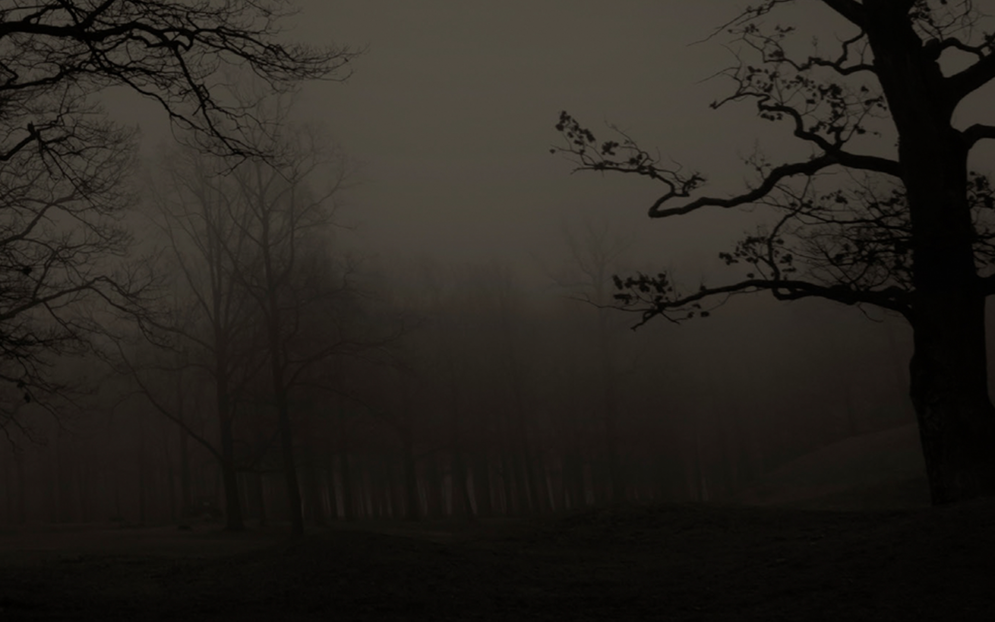 Screen Shot 2022-01-30 at 12.21.39.png