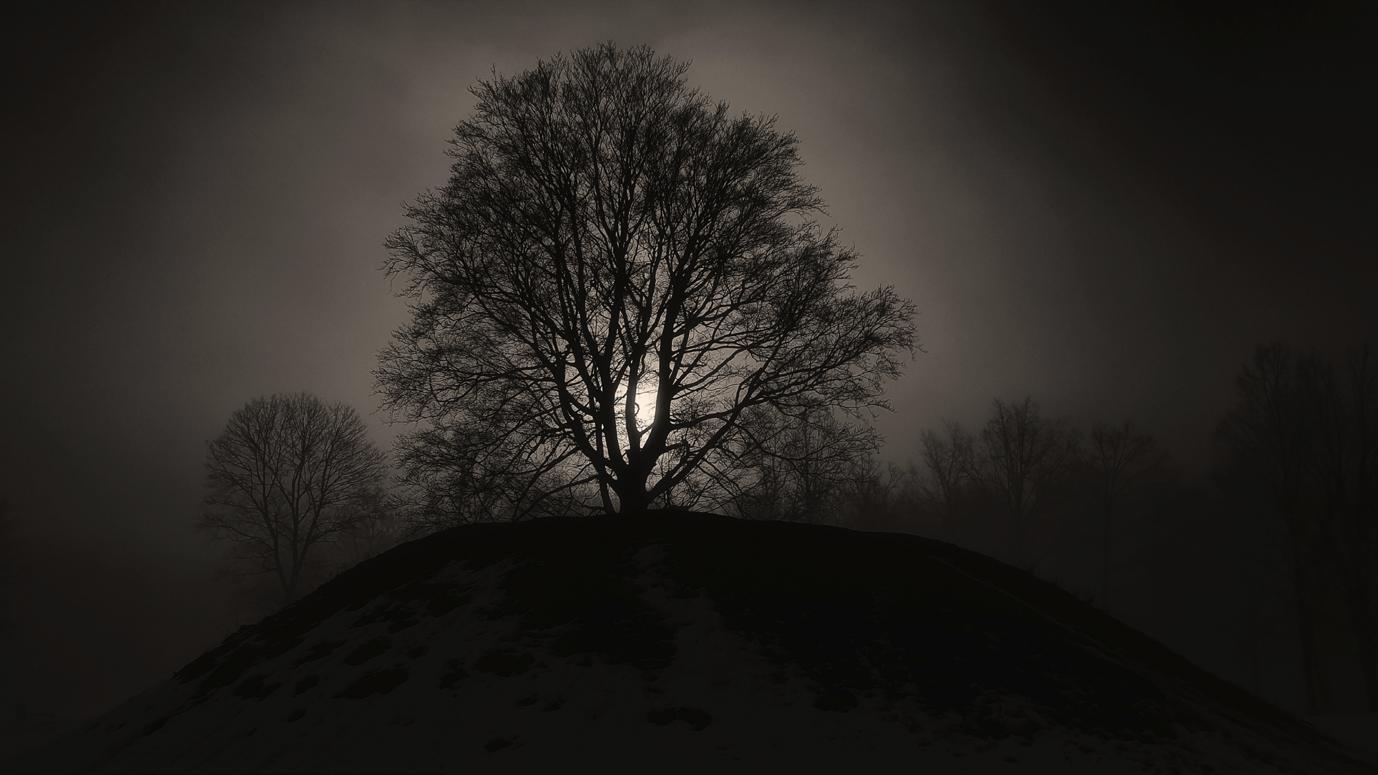 Screen Shot 2022-01-30 at 12.22.38.png