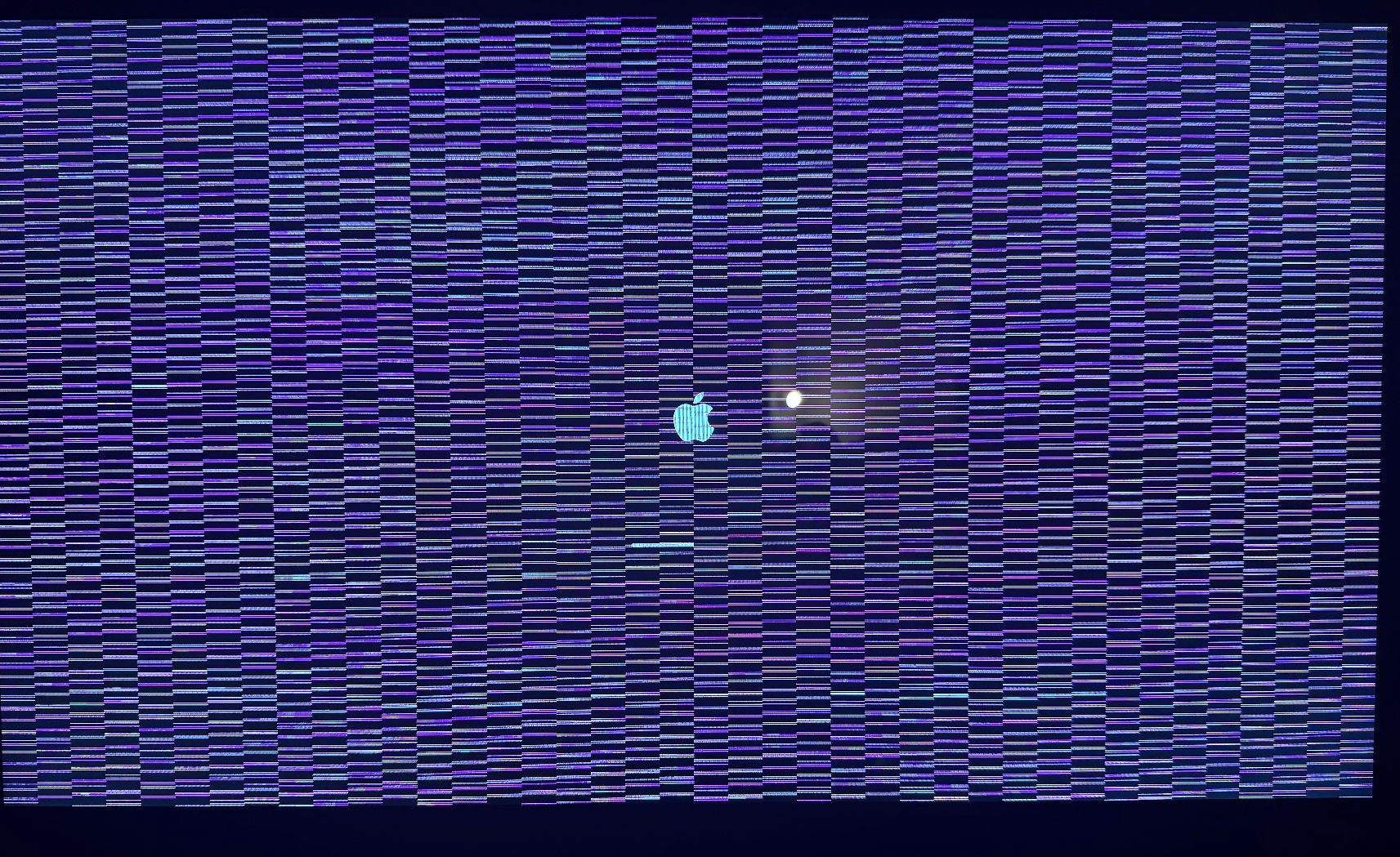 Screen Shot 2024-01-17 at 2.07.19 PM.png