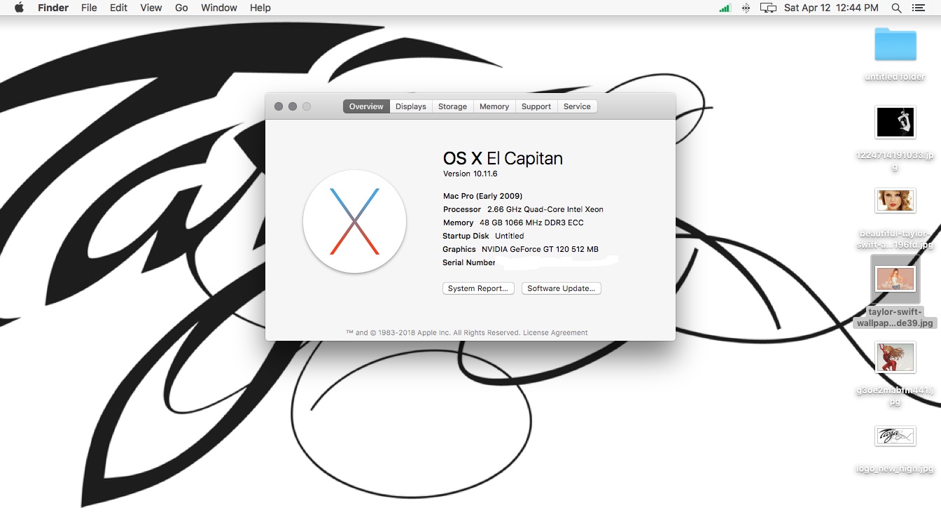 Screen Shot 2025-04-12 at 12.44.53 PM.jpg