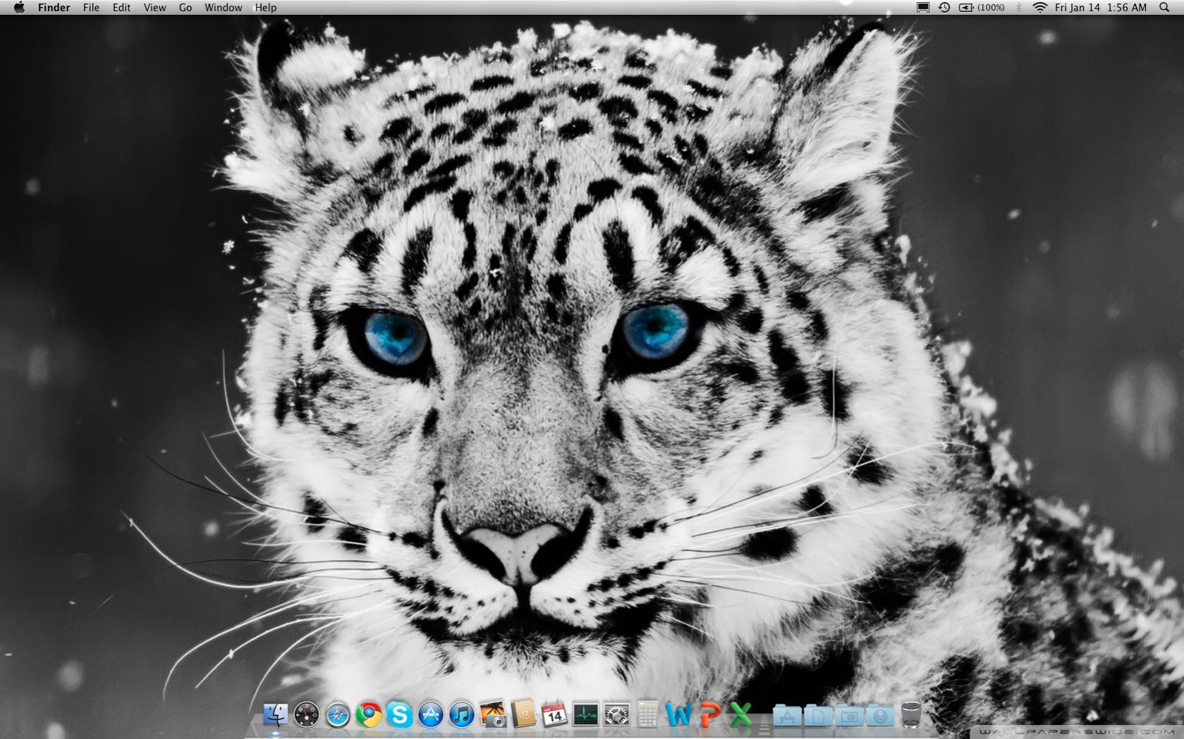 Screen shot.jpg