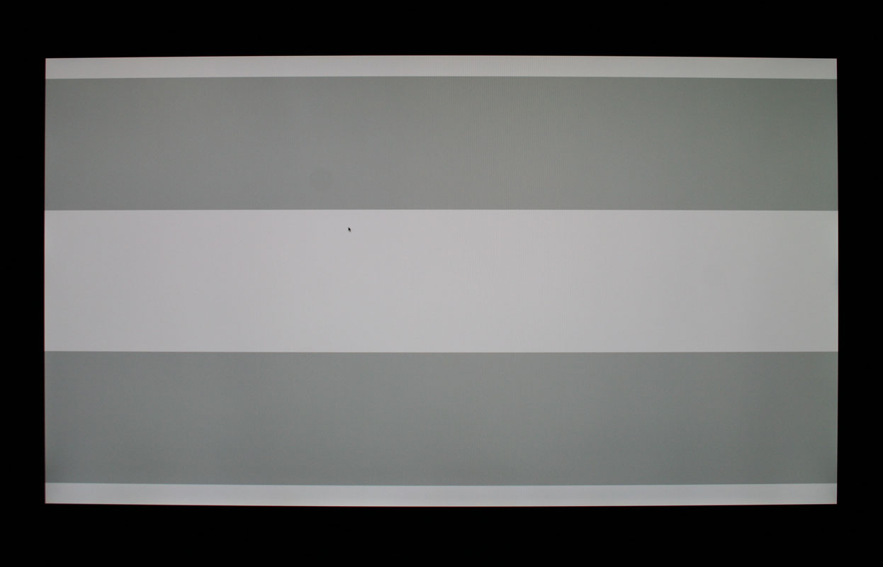 screenpic1.jpg