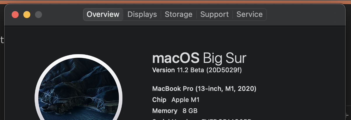 Screenshot 2020-12-21 at 21.03.13.png
