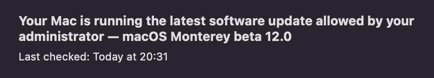 Screenshot 2021-08-12 at 20.31.25.png