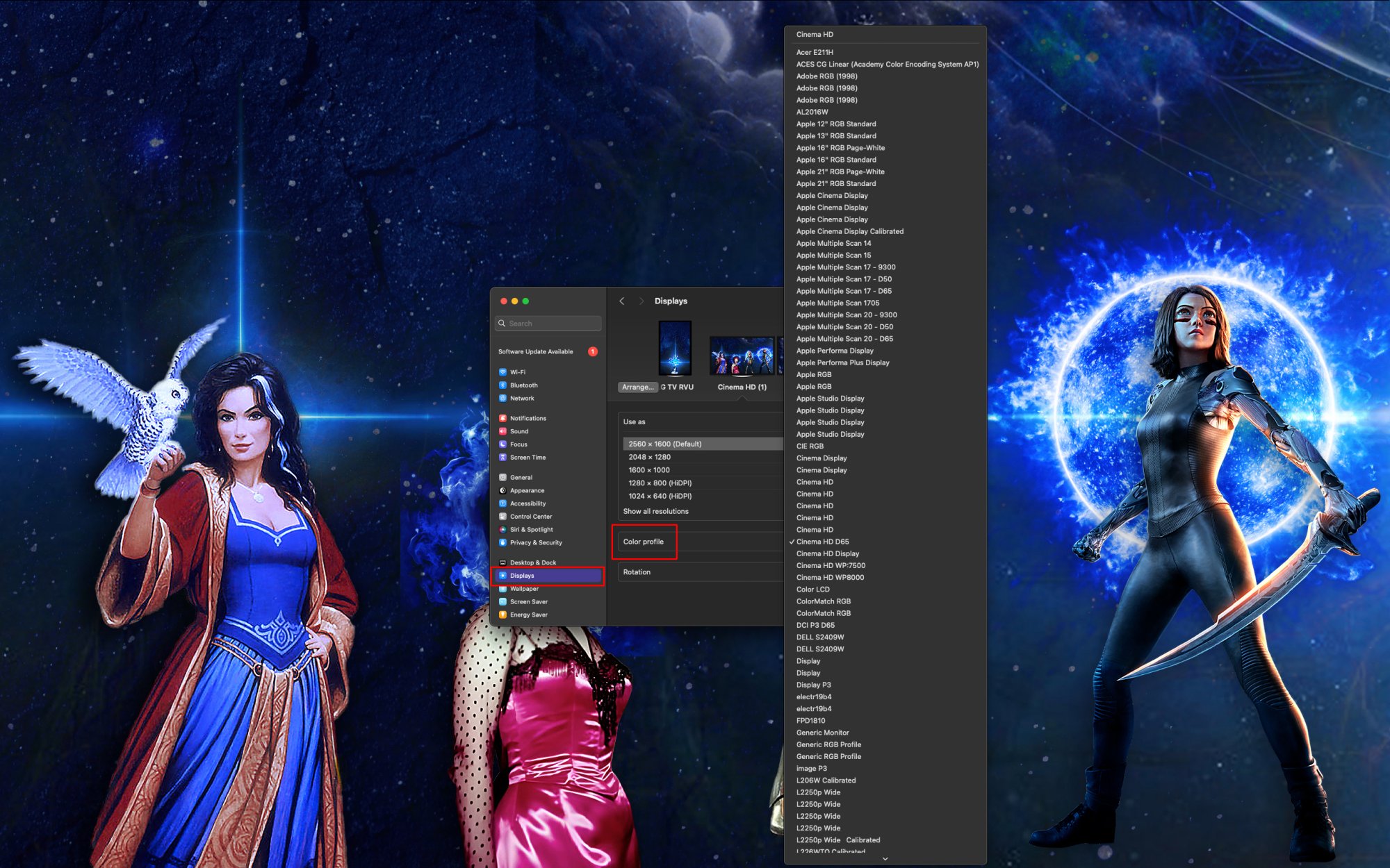Screenshot 2025-01-23 at 16.11.26.jpg