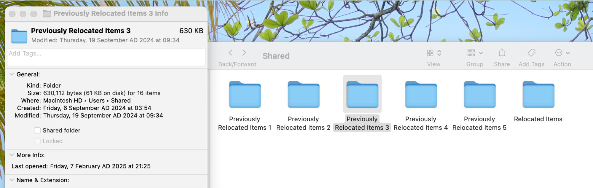 Screenshot 2025-02-07 at 22.28.53.png