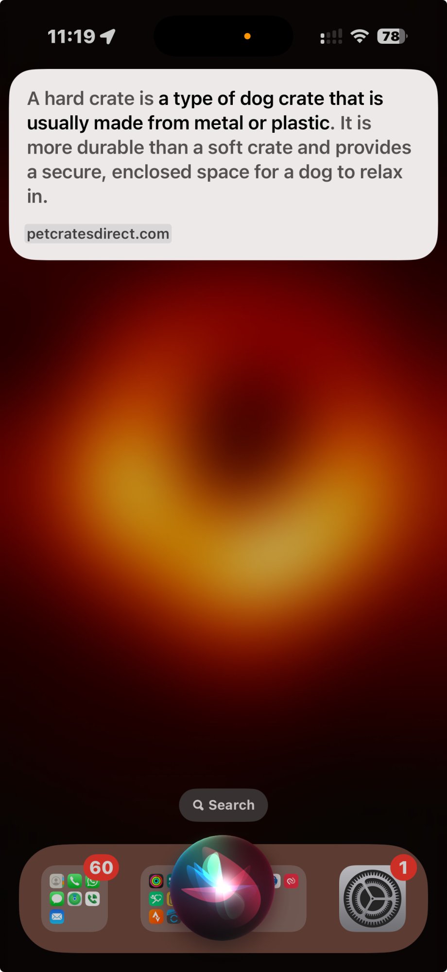 Screenshot 2025-03-30 at 11.19.05.jpeg