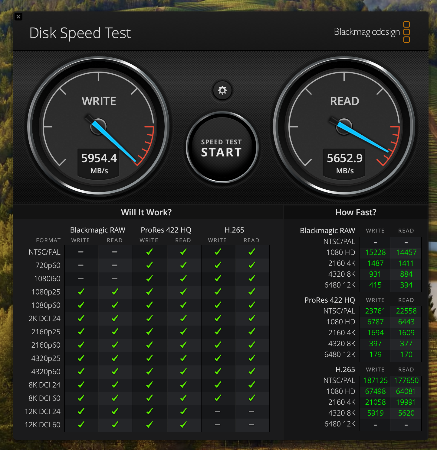 Screenshot 2025-10-05 at 4.32.09 pm.png