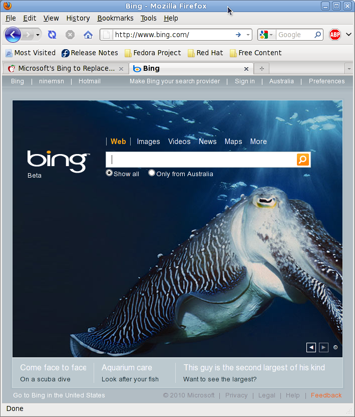 Screenshot-Bing - Mozilla Firefox.png