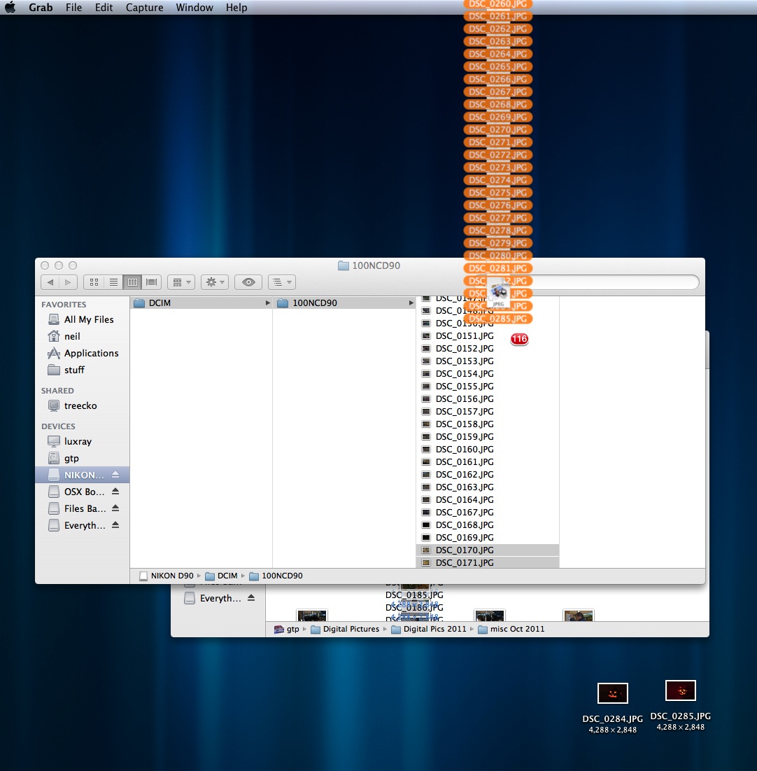screenshot crop.jpg
