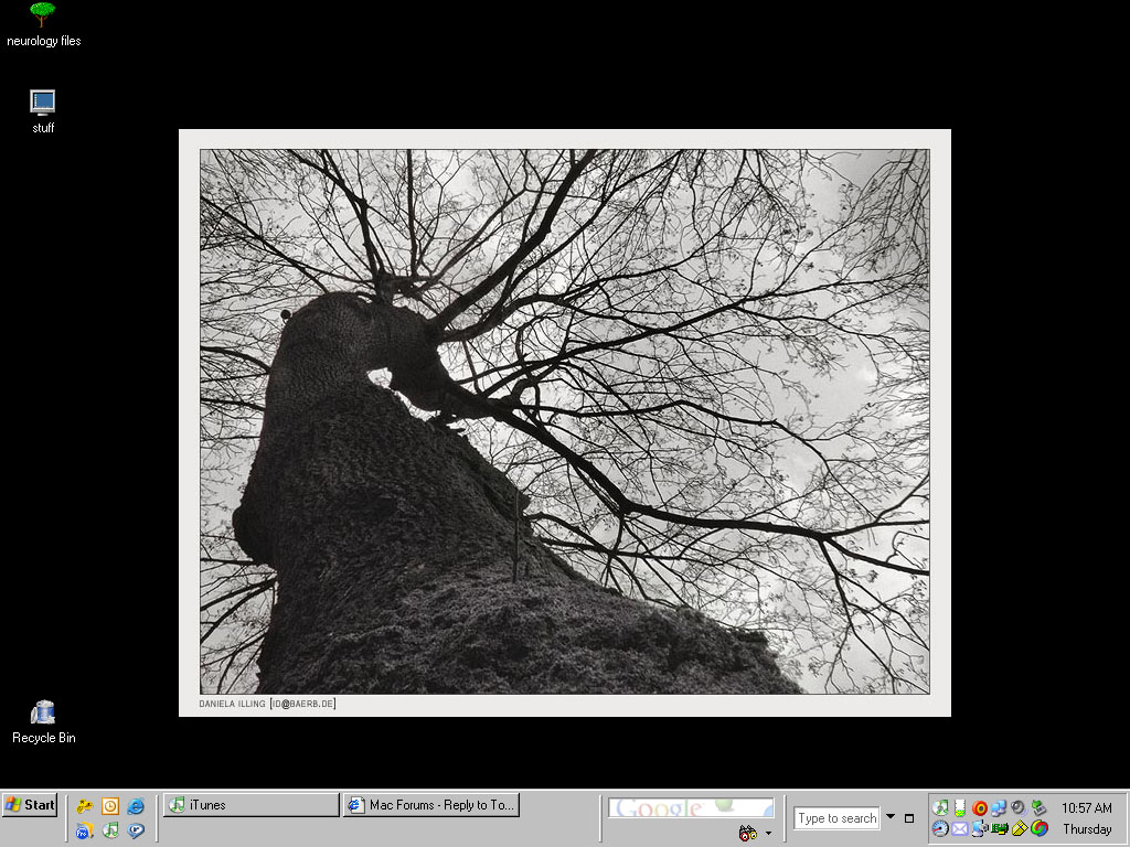 ScreenShot.jpg