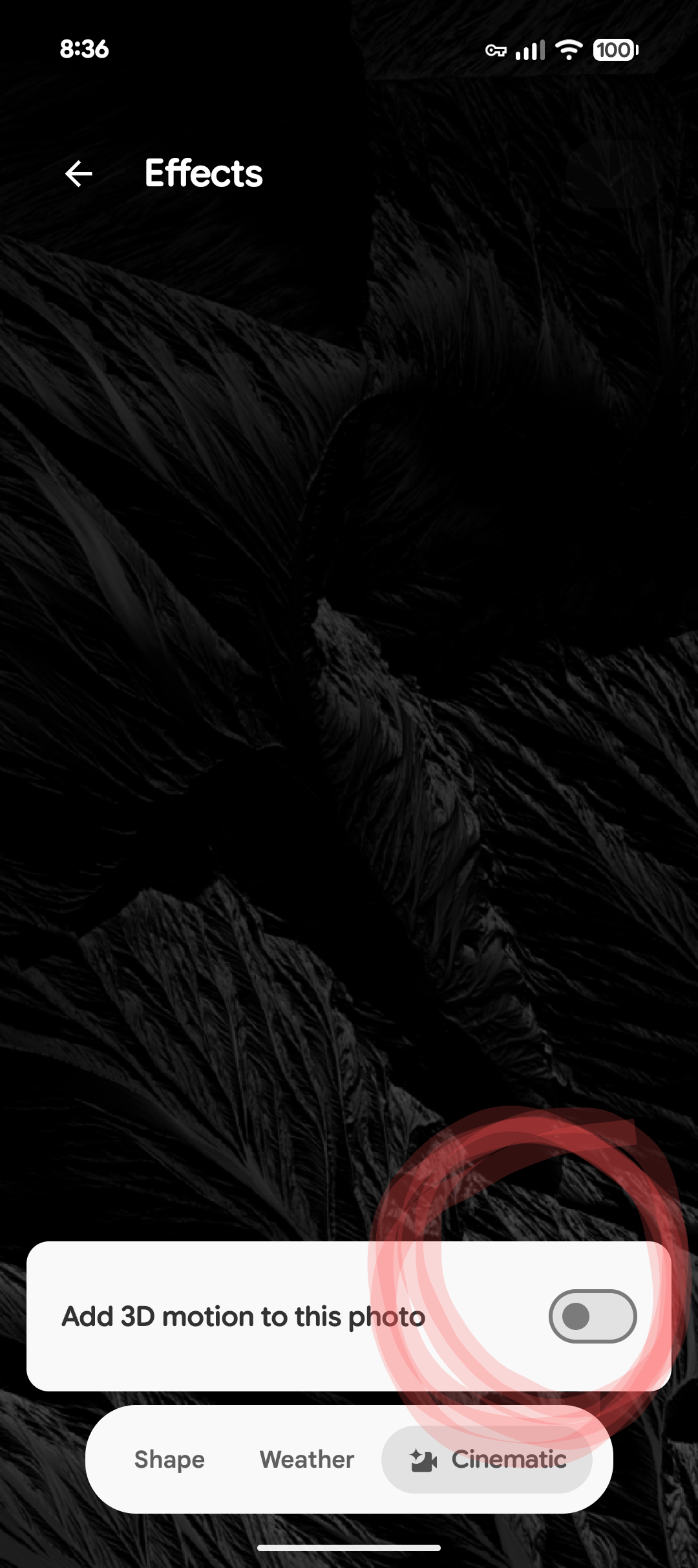 Screenshot_20260311-083628.png