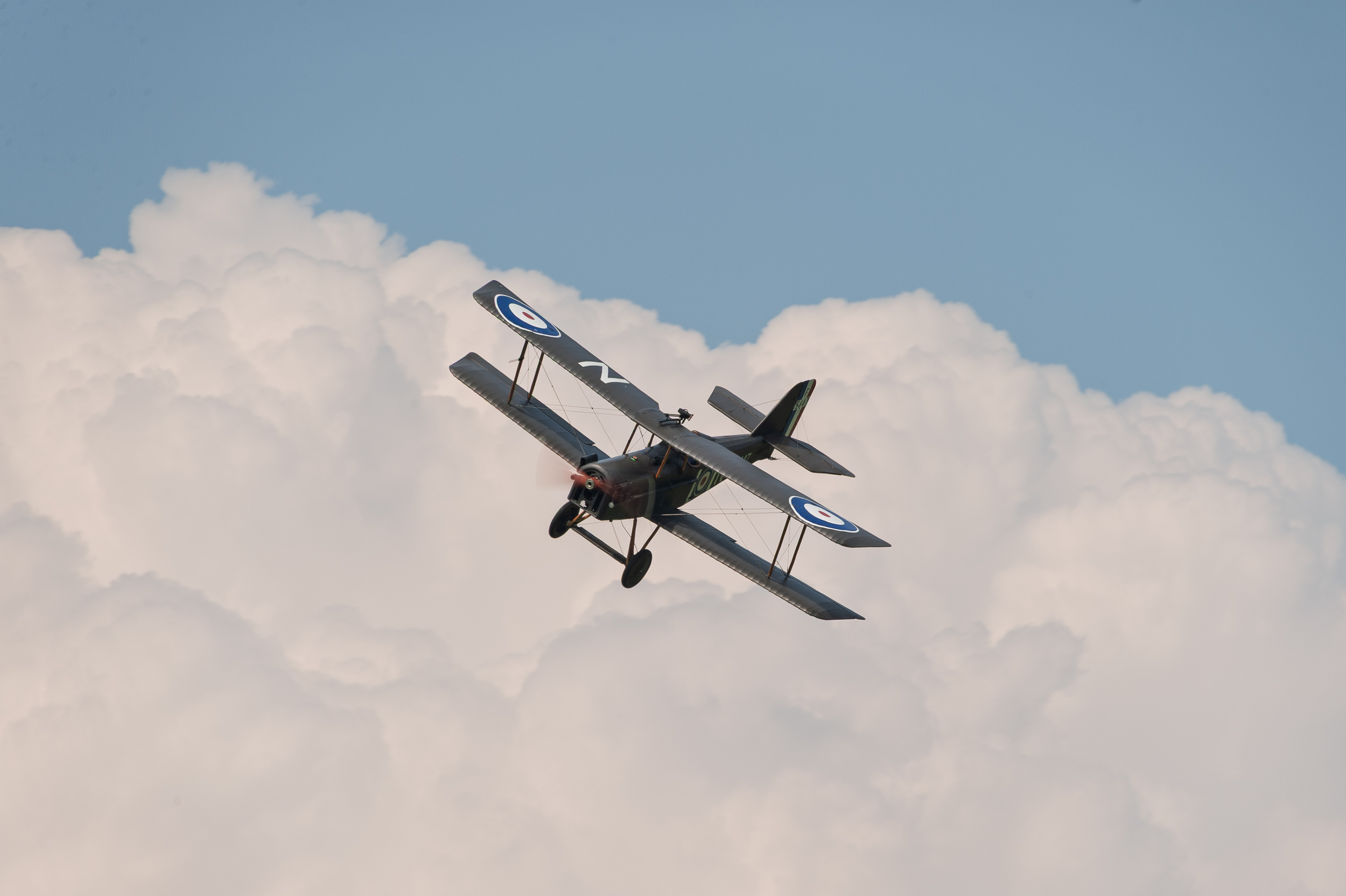 SE5A20100605-54.jpg