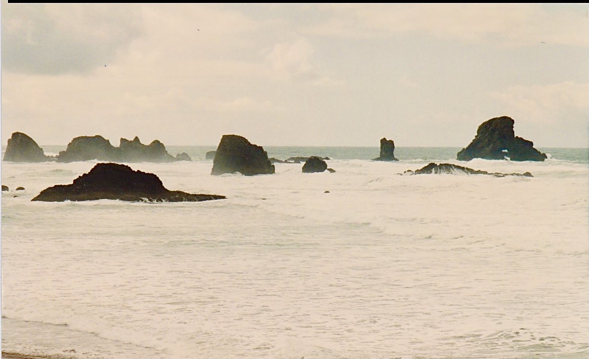 sea - 1.jpeg