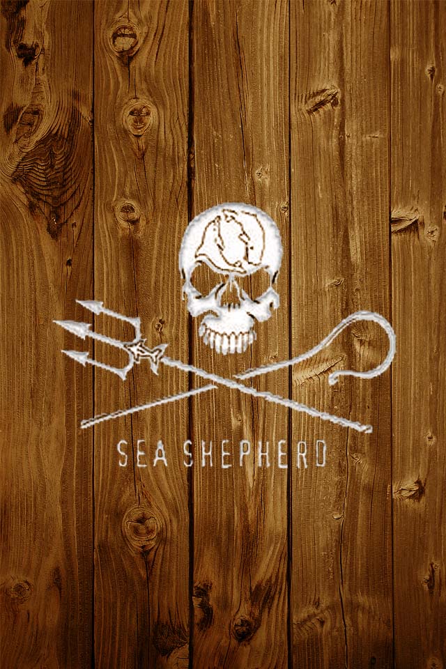 Sea Shepherd.jpg