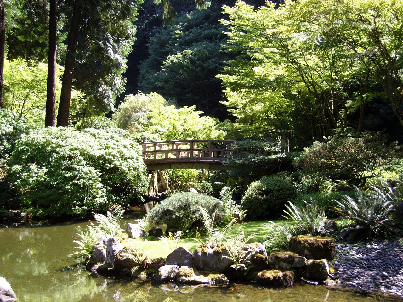 Seattle garden.jpg