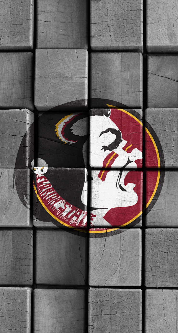 Seminoles 01.jpg