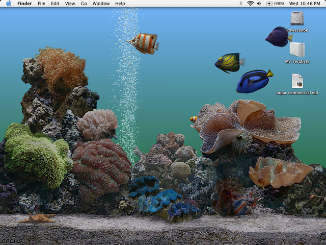 sept-desktop.jpg