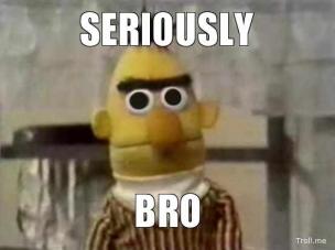 seriously-bro-thumb.jpg