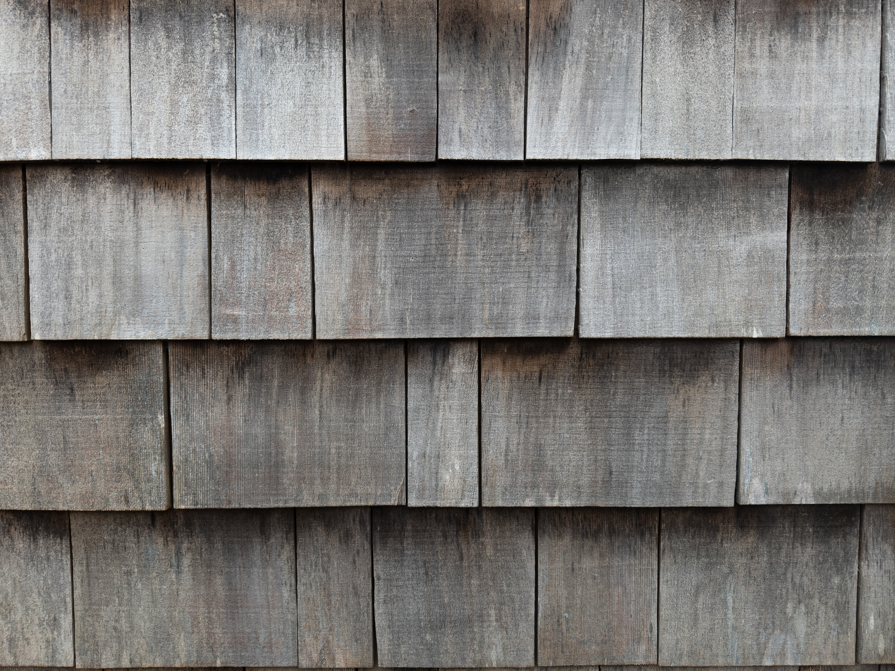 Shingles20260521.jpg