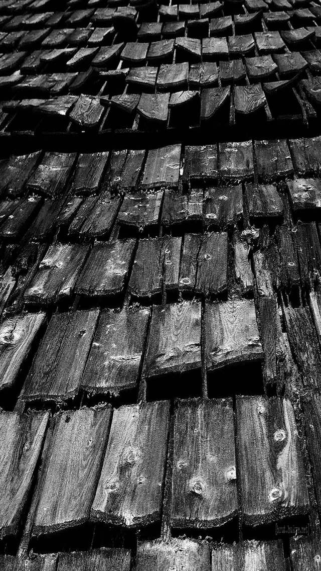 shingles_2007.jpg