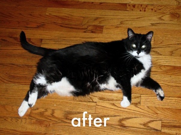 sid-after.jpg
