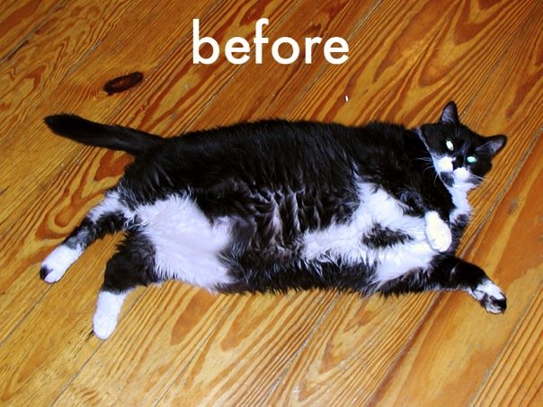 sid-before.jpg