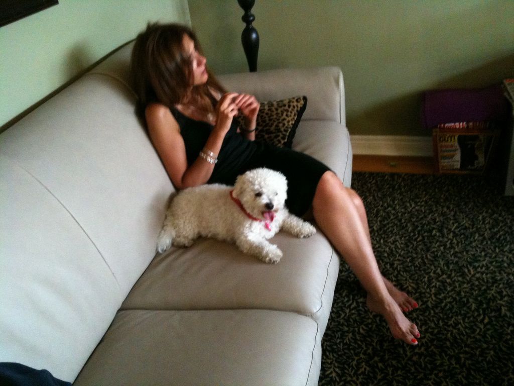 sitting_pretty.jpg