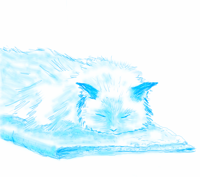 Sketch.png