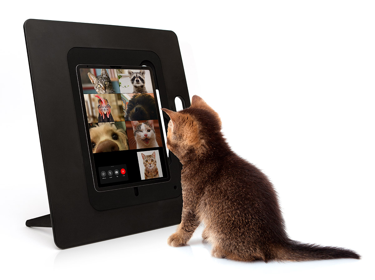 sketchboard-pro-standing-pets-video-call.jpg