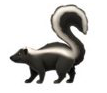 skunk.png