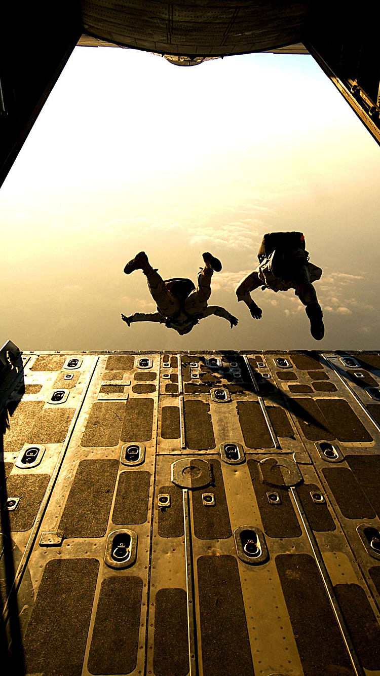 Skydivers.png