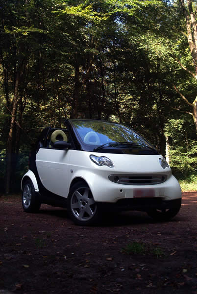 smart2.jpg