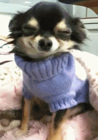 smiling.gif