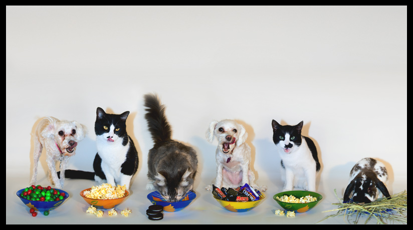Snacktime.jpg
