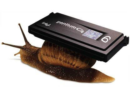 snail4cm.jpg