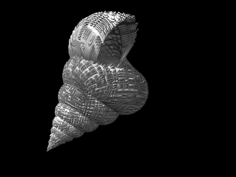 snail8.jpg