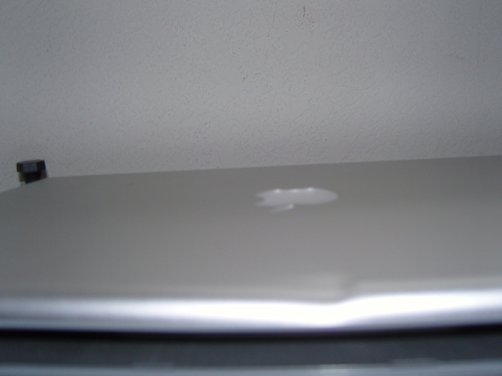 SNC10419.JPG